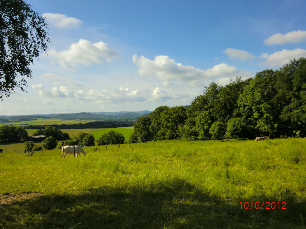 Landschaft Eisborn